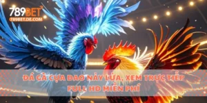 Đá Gà Cựa Dao Nảy Lửa, Xem Trực Tiếp Full Hd Miễn Phí 2 đá gà cựa dao